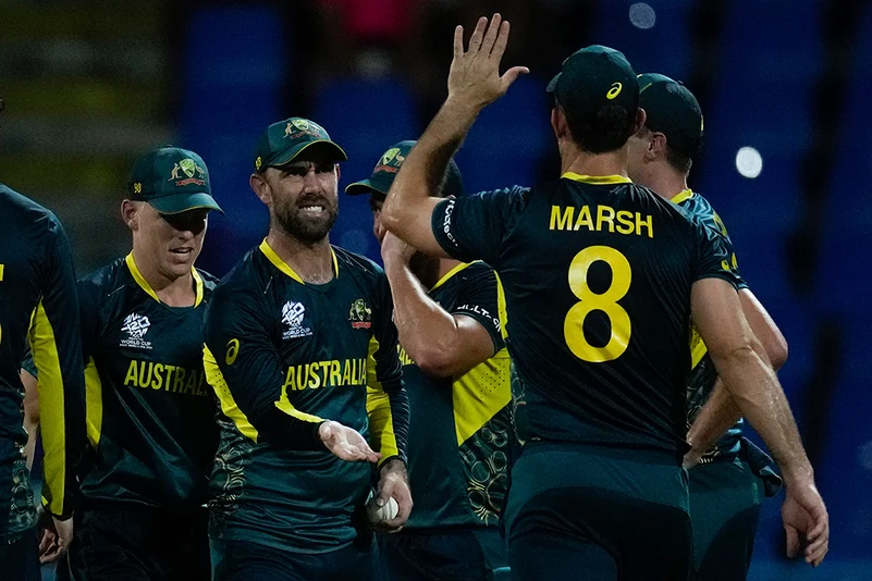 Australia players celebrate a wicket against Namibia